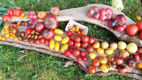 Market Gardening